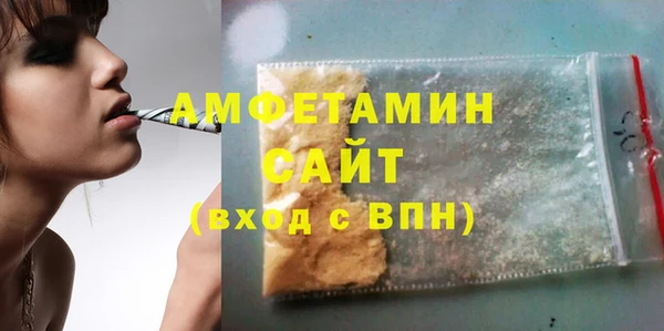 индика Богородск
