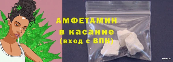 индика Богородск