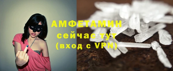 индика Богородск