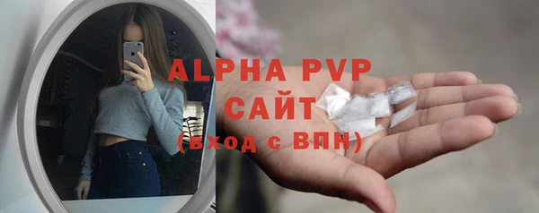 индика Богородск