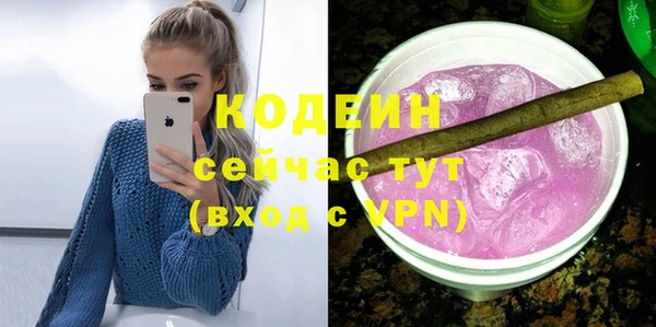 индика Богородск