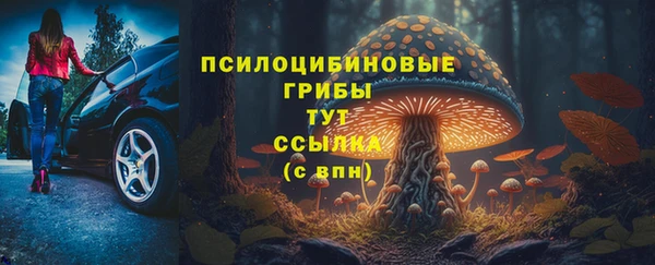 индика Богородск