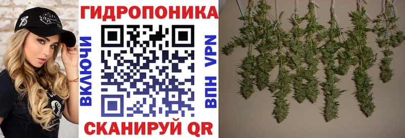 Купить  Окуловка  Канабис конопля 